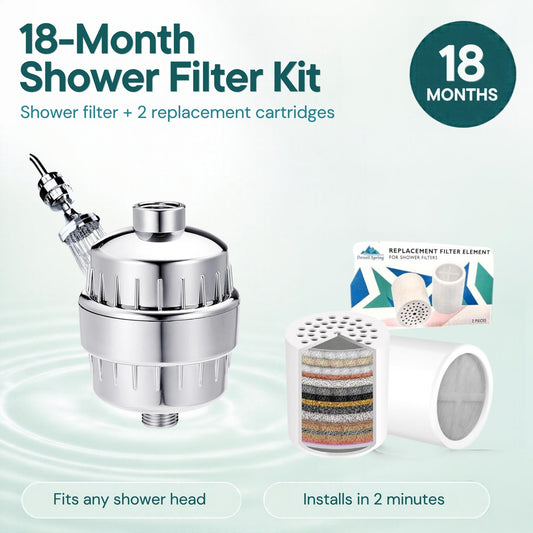 Denali Spring 18-Month Shower Filter Kit: shower filter plus 2 replacement cartridges