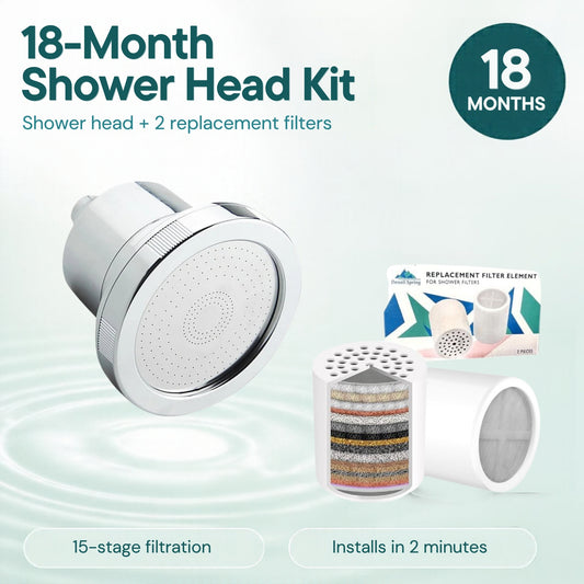 Denali Spring 18-Month Filtered Shower Head Kit: shower head plus 2 replacement filters