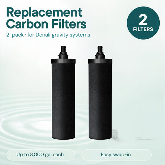 Denali Spring replacement carbon filters, 2-pack